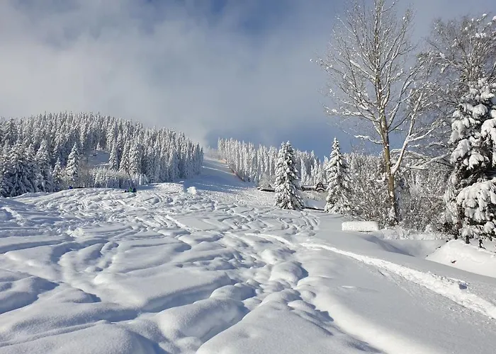 Pensionat Srub Panorama 4*
